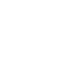 WildRobin – kanał TikTok